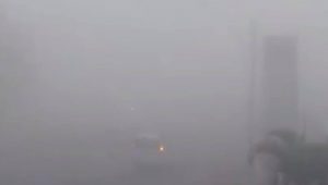 A neblina