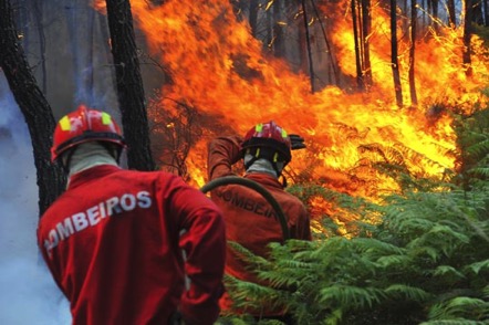 Da silva 01